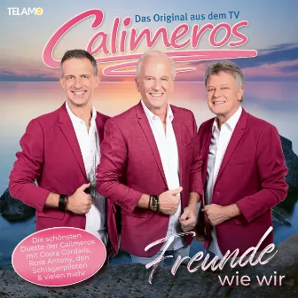 Freunde wie wir by Calimeros