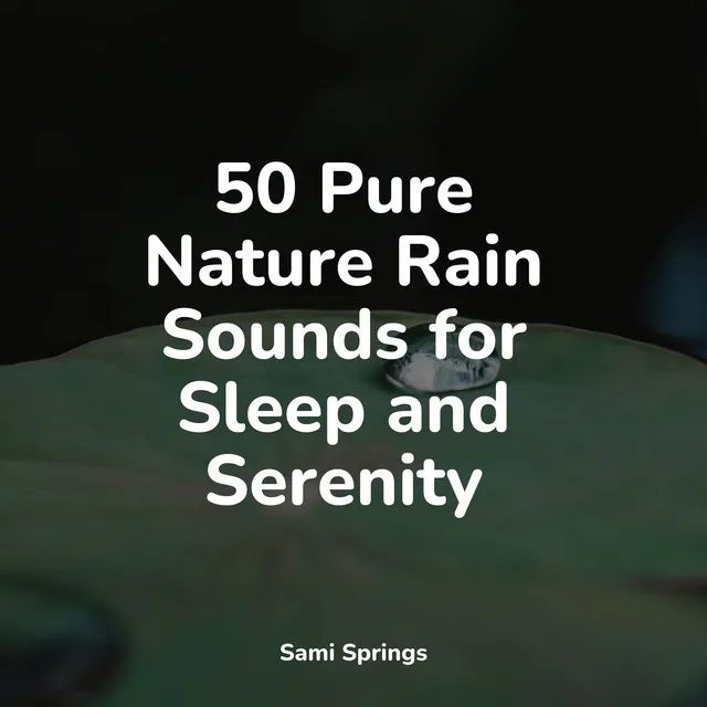 50 Pure Nature Rain Sounds for Sleep and Serenity