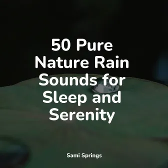 50 Pure Nature Rain Sounds for Sleep and Serenity by Organic Nature Sounds