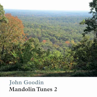 Mandolin Tunes 2 by John Goodin