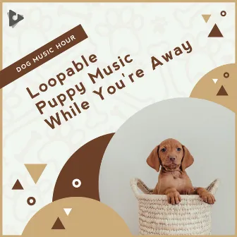 Loopable Puppy Music While You're Away by Music for Puppies