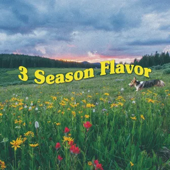 3Season Flavor by Kadi Korgi