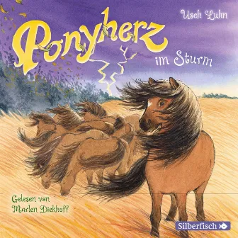 Ponyherz 14: Ponyherz im Sturm by Marlen Diekhoff