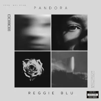 Pandora by Reggie Blu