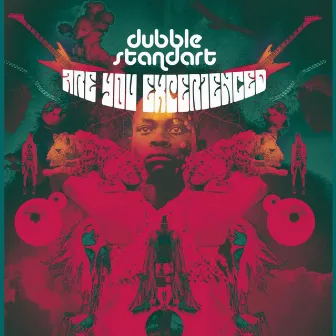 Are You Experienced by Dubblestandart