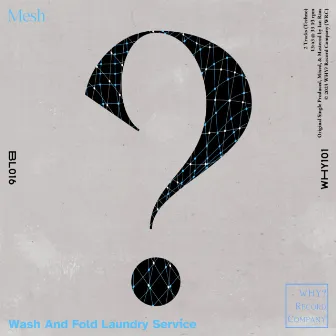 Mesh by Wash And Fold Laundry Service