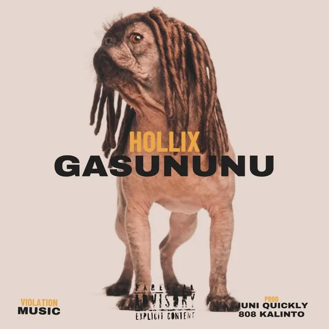 Gasununu (New York Mix)