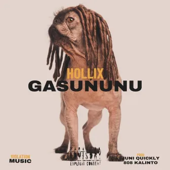 Gasununu (New York Mix) by Hollix