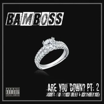 Are You Down? Pt. 2 by Bamboss