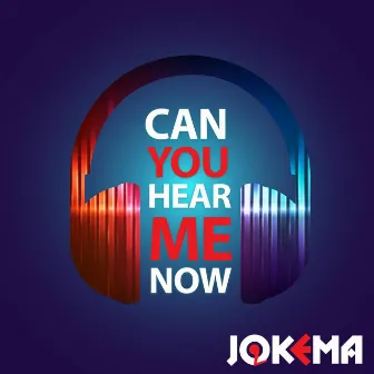 Can You Hear Me Now by Jokema,