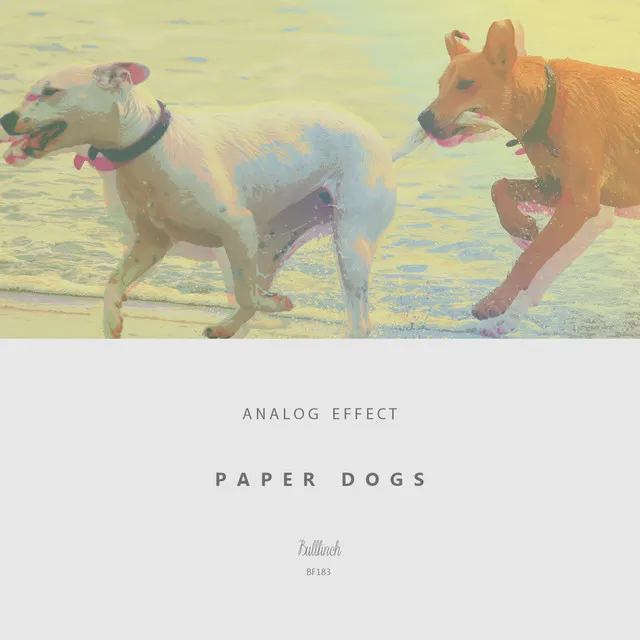 Paper Dogs