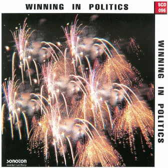 Winning in Politics by Stephen Bulla