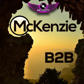 B 2 B by McKenzie