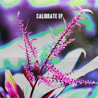 Calibrate EP by Powers Up