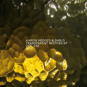 Transparent Motives EP by Aaron Hedges