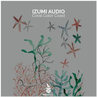 Coral Color Coast by IZUMI AUDIO