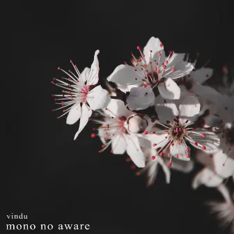 Mono No Aware by Vindu