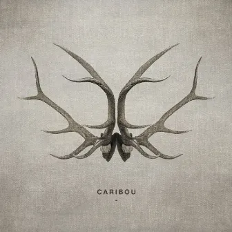 Caribou (feat. Cubus) by Amy Capilari