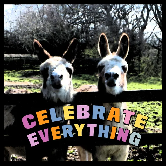 Celebrate Everything