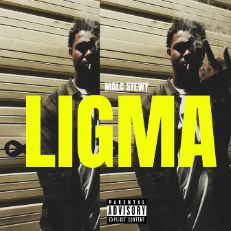 Ligma by Malc Stewy