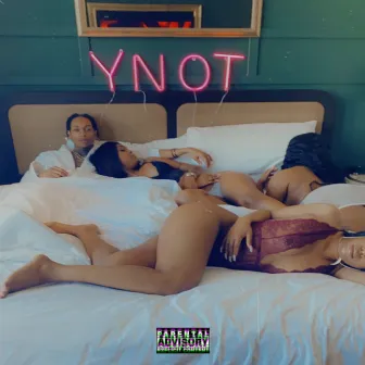 Intro 2 by Ynot the King