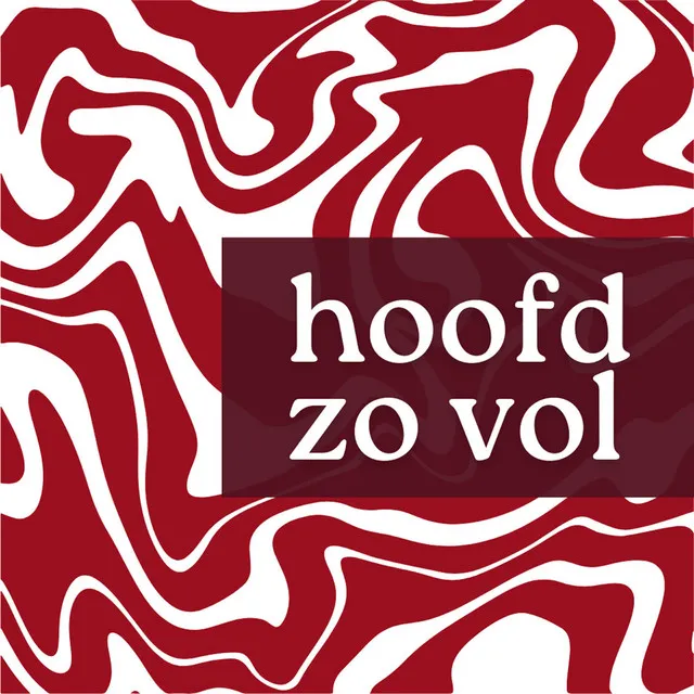 Hoofd zo vol