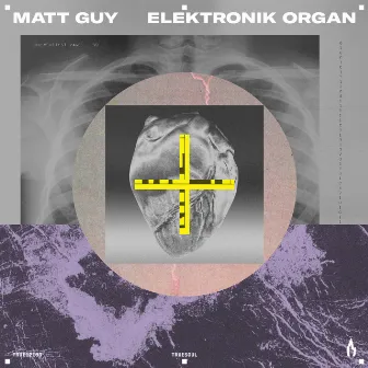 Elektronik Organ by Matt Guy