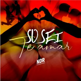 Só Sei Te Amar by Ndr