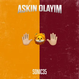 Askin Olayim by Sonic35