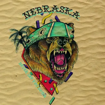 Never Let You Down by Nebraska