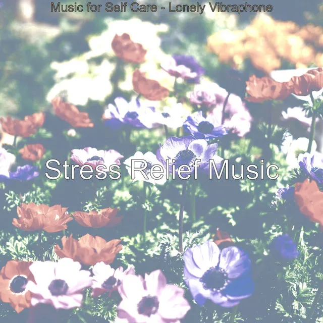 Music for Self Care - Lonely Vibraphone