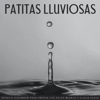 Patitas Lluviosas: Espacio Acogedor Para Perros Con Ruido Blanco Y Lluvia Suave by 