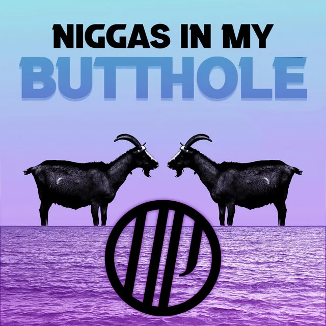 Niggas in My Butthole