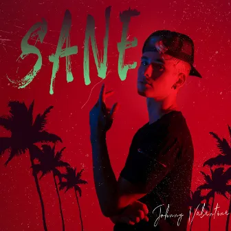 Sane by Johnny Valentine