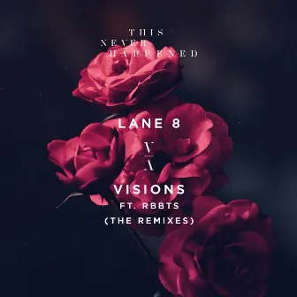 Visions (The Remixes) by RBBTS