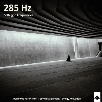 285 Hz - Deep Meditation for Clarity by Mellow Meadows