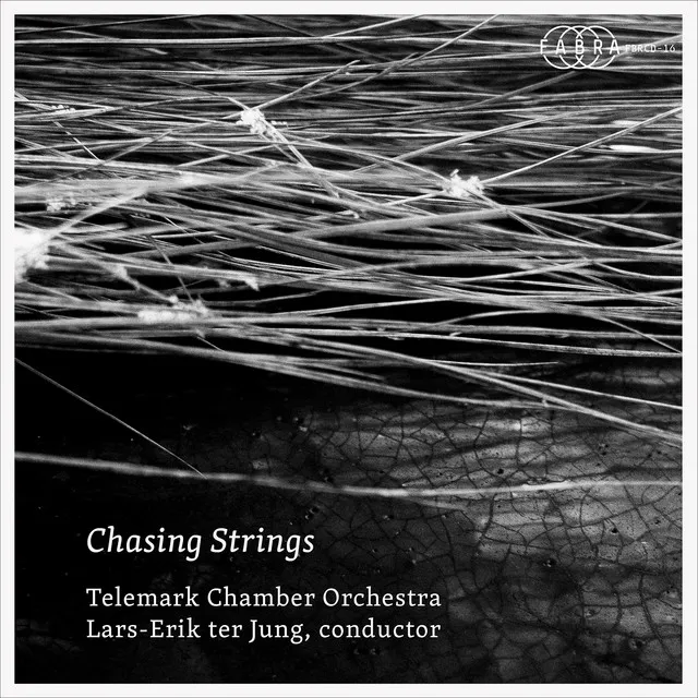 Jan Erik Mikalsen: Lied for String Ensemble