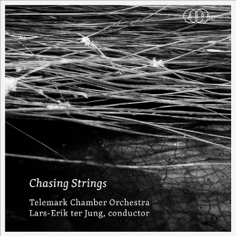 Chasing Strings by Telemark Chamber Orchestra