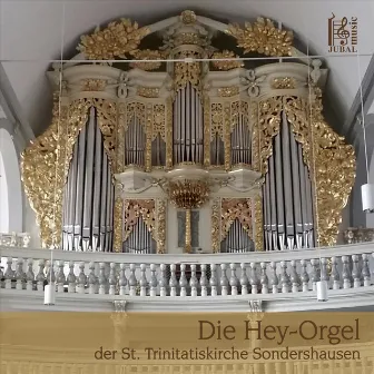 Die Hey-Orgel in Sondershausen by Andreas Fauß