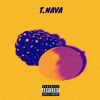 Blackberry Mango by T.Nava