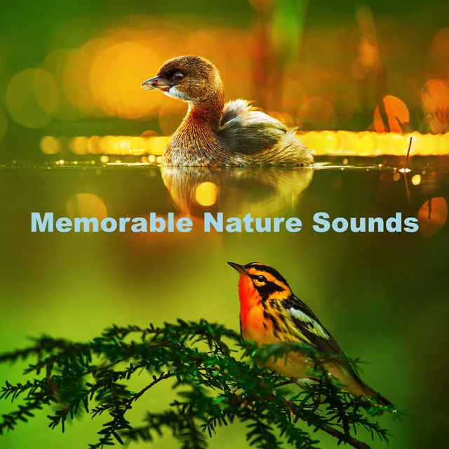 Memorable Nature Sounds