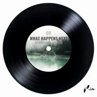 What happens next (Downtempo) by OR