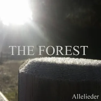 THE FOREST by Allelieder