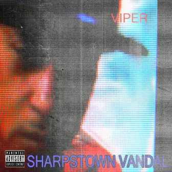 Sharpstown Vandal by Viper