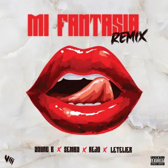 Mi Fantasia (RMX) by Young Basty