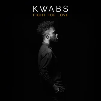 Fight for Love (Sam Gellaitry Remix) by Kwabs