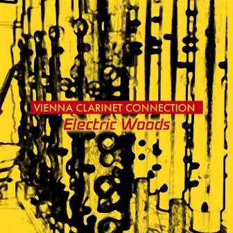 Electric Woods by Vienna Clarinet Connection