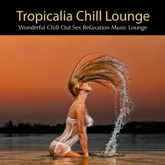 Tropicalia Chill Lounge: Wonderful Chill Out Sex Relaxation Music Lounge by Unknown Artist