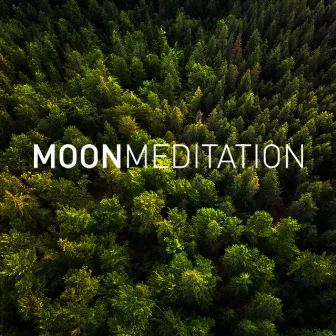 Focus by Moon Nature Sounds