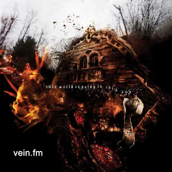 This World Is Going To Ruin You by Vein.fm